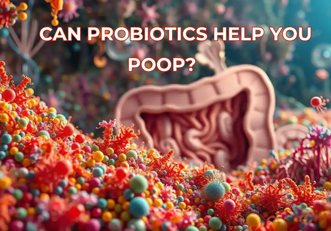 Do Probiotics Make You Poop? Truth About Gut & Digestion
