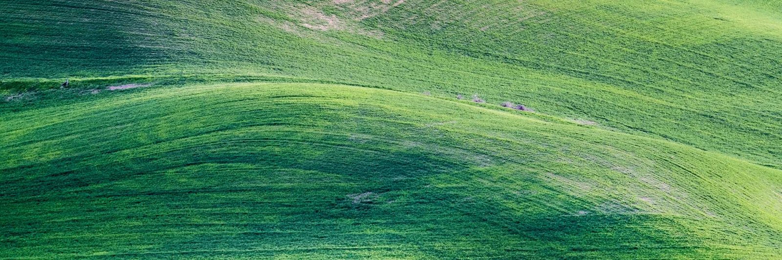 Untitled design 16